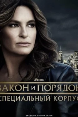 New York, unité spéciale saison 27 New York, unité spéciale saison 27